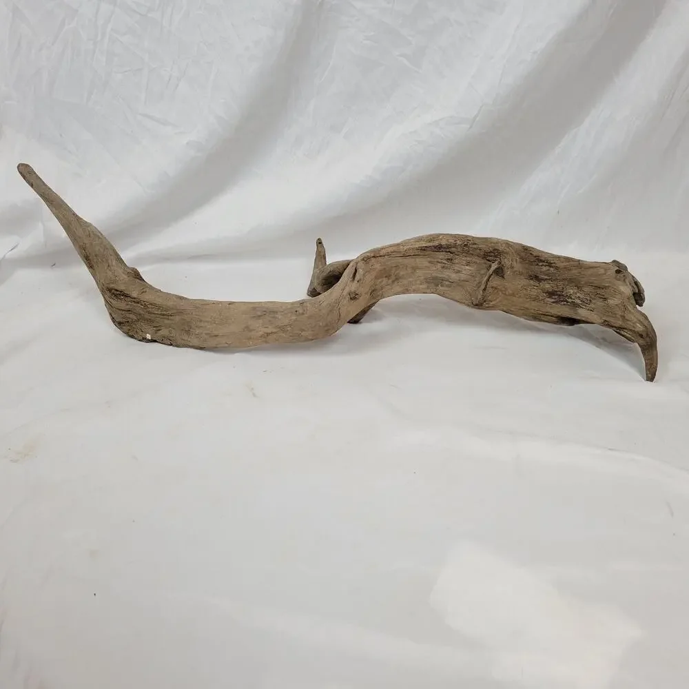 Ohio River Driftwood 39